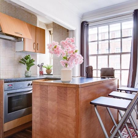 Cozy Studio In Central London Apartment ภายนอก รูปภาพ