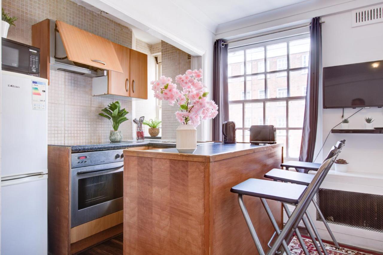 Cozy Studio In Central London Apartment ภายนอก รูปภาพ